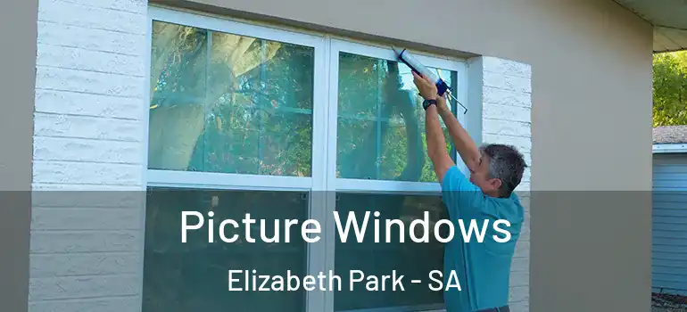 Picture Windows Elizabeth Park - SA