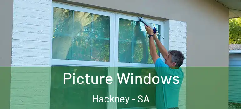 Picture Windows Hackney - SA
