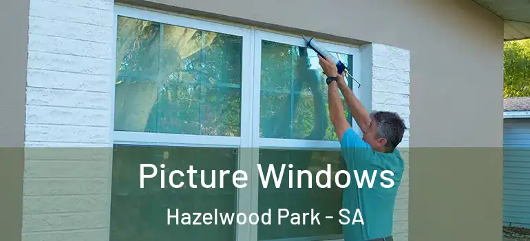 Picture Windows Hazelwood Park - SA