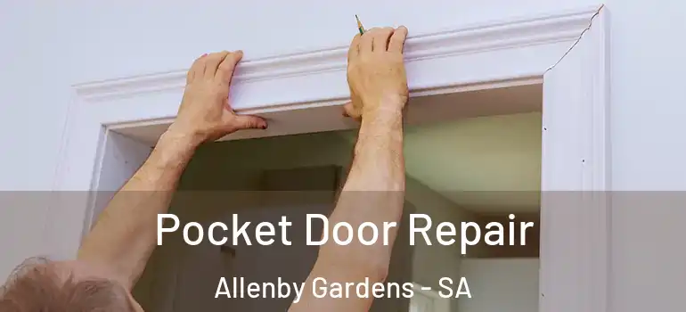 Pocket Door Repair Allenby Gardens - SA
