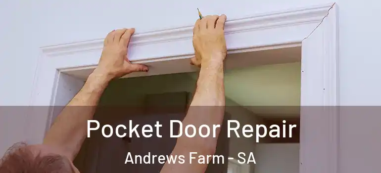 Pocket Door Repair Andrews Farm - SA