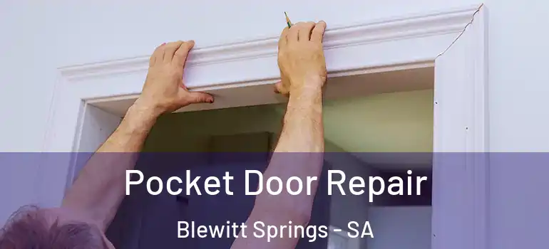 Pocket Door Repair Blewitt Springs - SA