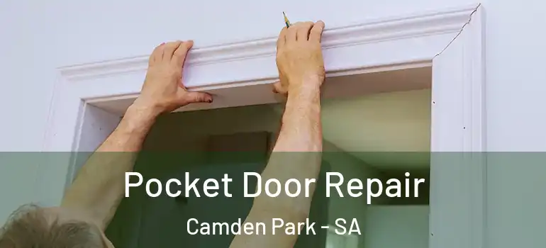 Pocket Door Repair Camden Park - SA