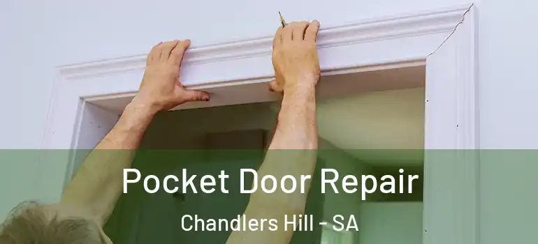 Pocket Door Repair Chandlers Hill - SA