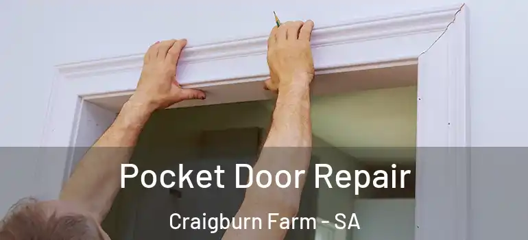 Pocket Door Repair Craigburn Farm - SA
