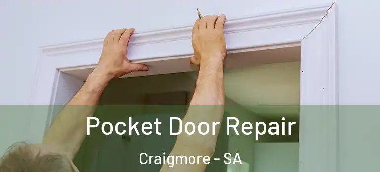 Pocket Door Repair Craigmore - SA