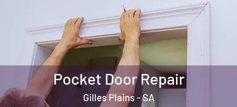  Pocket Door Repair Gilles Plains - SA