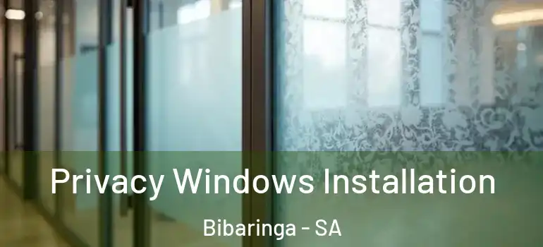 Privacy Windows Installation Bibaringa - SA