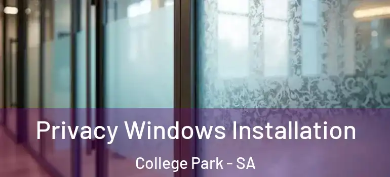 Privacy Windows Installation College Park - SA