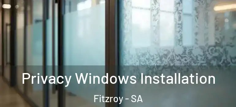 Privacy Windows Installation Fitzroy - SA
