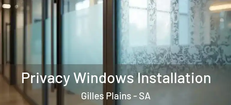 Privacy Windows Installation Gilles Plains - SA