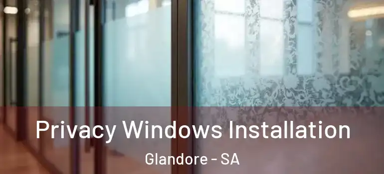 Privacy Windows Installation Glandore - SA