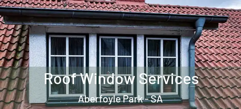 Roof Window Services Aberfoyle Park - SA