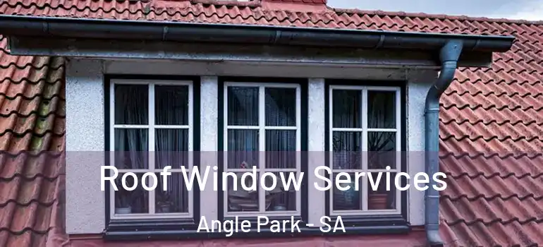 Roof Window Services Angle Park - SA