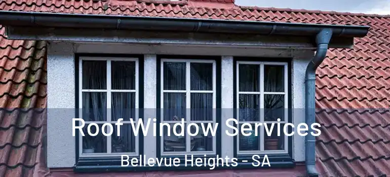 Roof Window Services Bellevue Heights - SA
