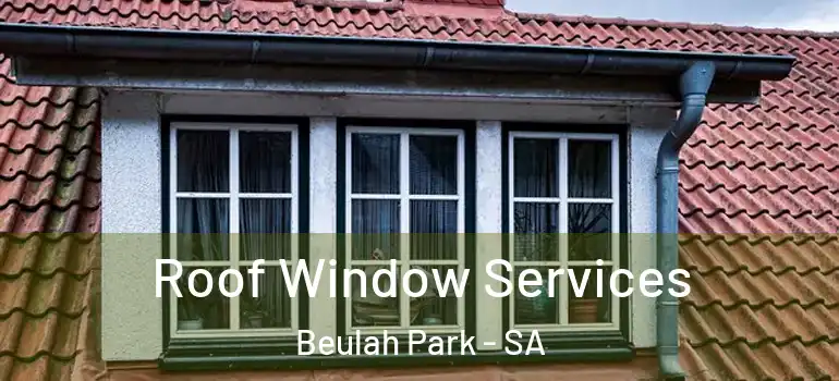 Roof Window Services Beulah Park - SA