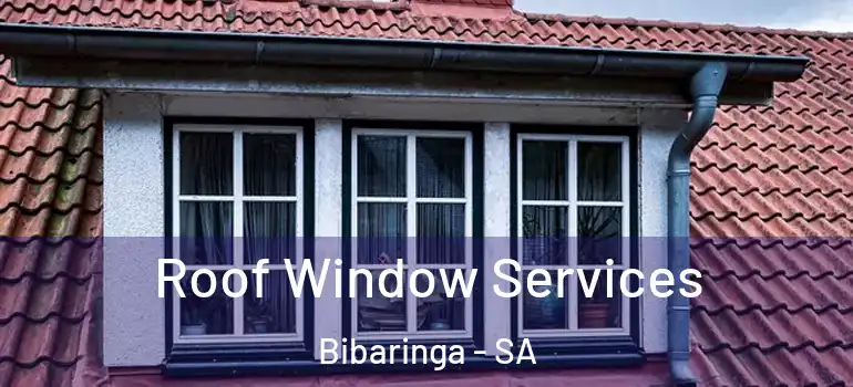 Roof Window Services Bibaringa - SA