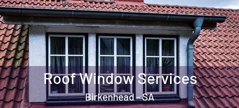Roof Window Services Birkenhead - SA