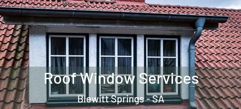 Roof Window Services Blewitt Springs - SA