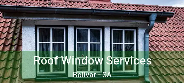 Roof Window Services Bolivar - SA