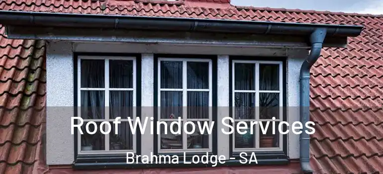 Roof Window Services Brahma Lodge - SA
