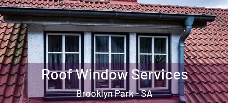 Roof Window Services Brooklyn Park - SA