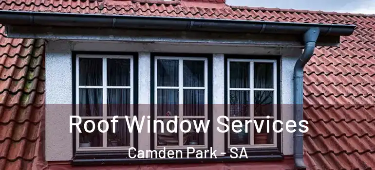 Roof Window Services Camden Park - SA
