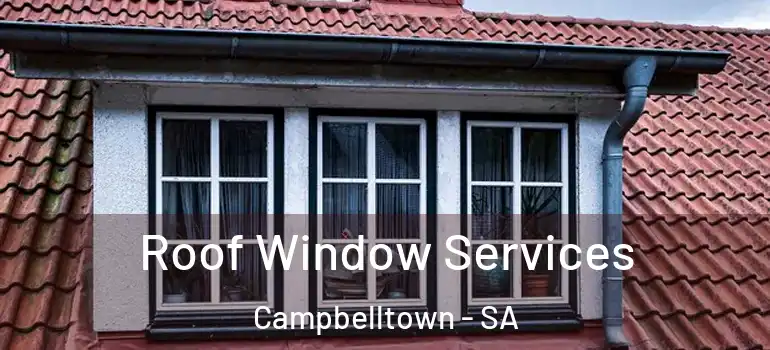 Roof Window Services Campbelltown - SA