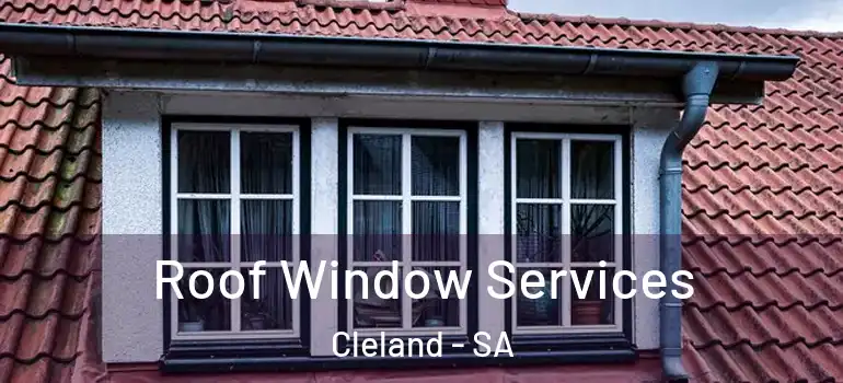 Roof Window Services Cleland - SA