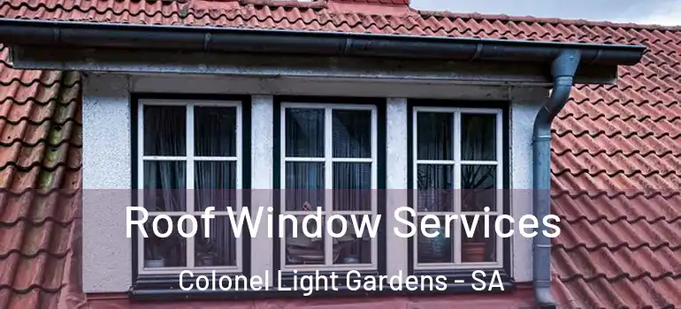Roof Window Services Colonel Light Gardens - SA