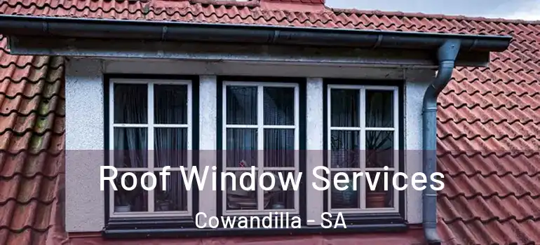 Roof Window Services Cowandilla - SA