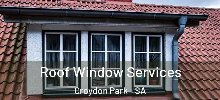 Roof Window Services Croydon Park - SA