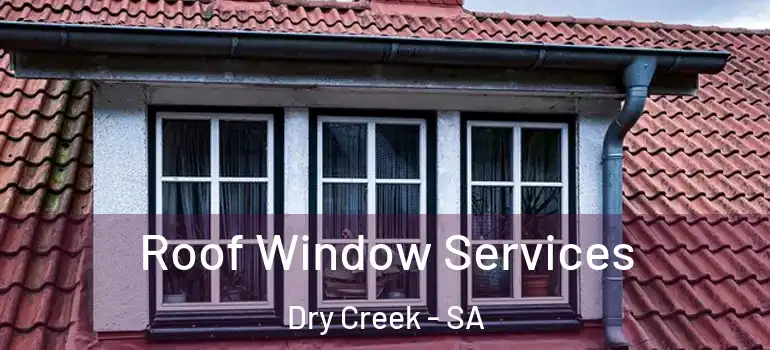 Roof Window Services Dry Creek - SA