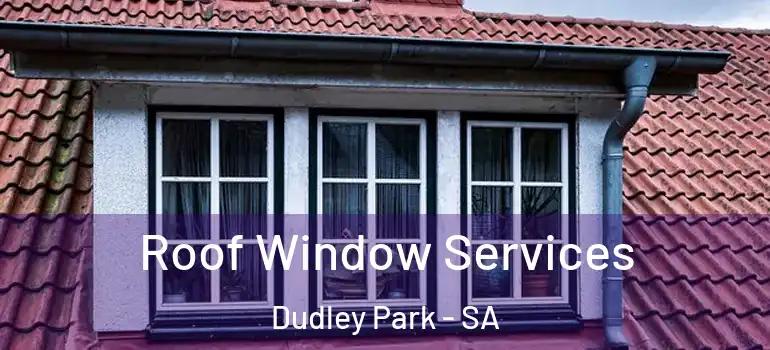 Roof Window Services Dudley Park - SA