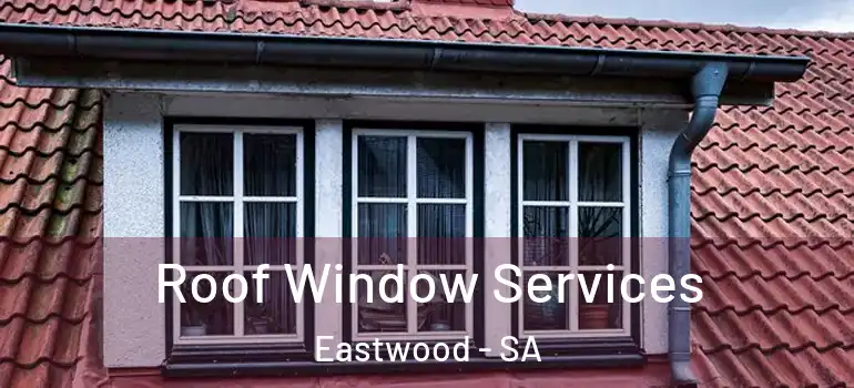 Roof Window Services Eastwood - SA