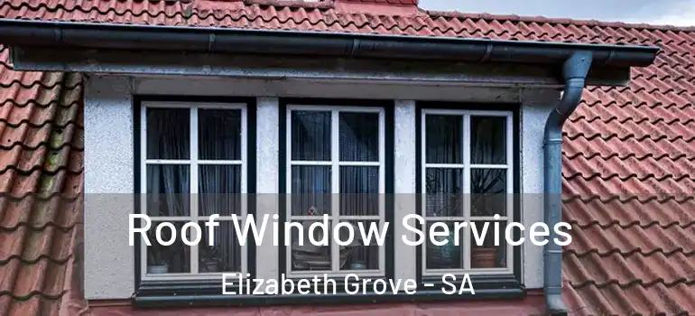Roof Window Services Elizabeth Grove - SA