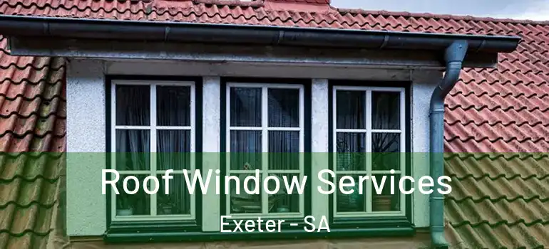 Roof Window Services Exeter - SA