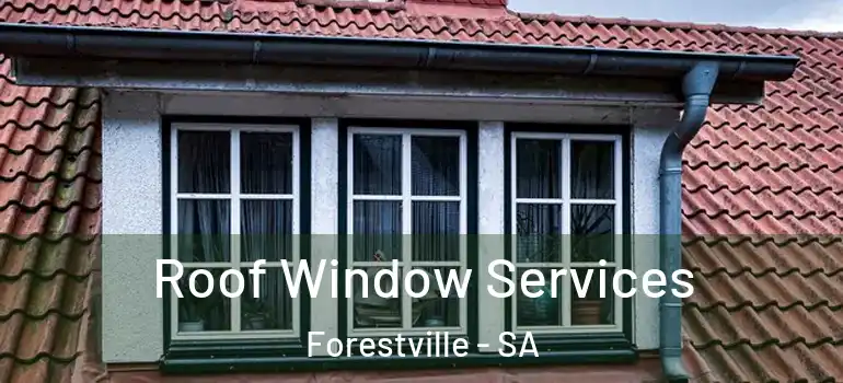 Roof Window Services Forestville - SA