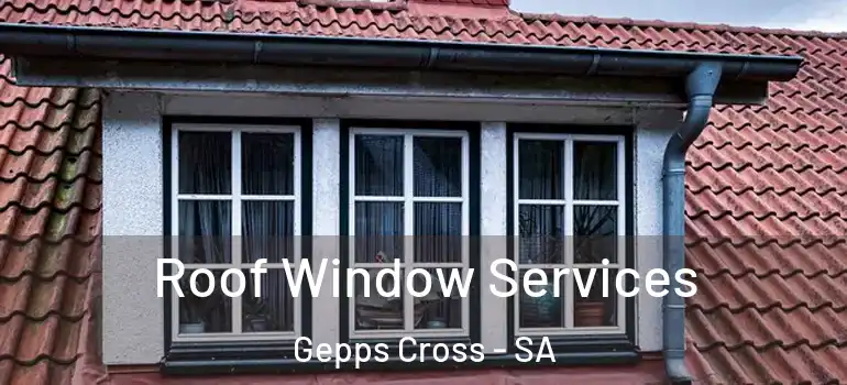 Roof Window Services Gepps Cross - SA