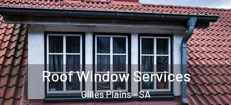 Roof Window Services Gilles Plains - SA