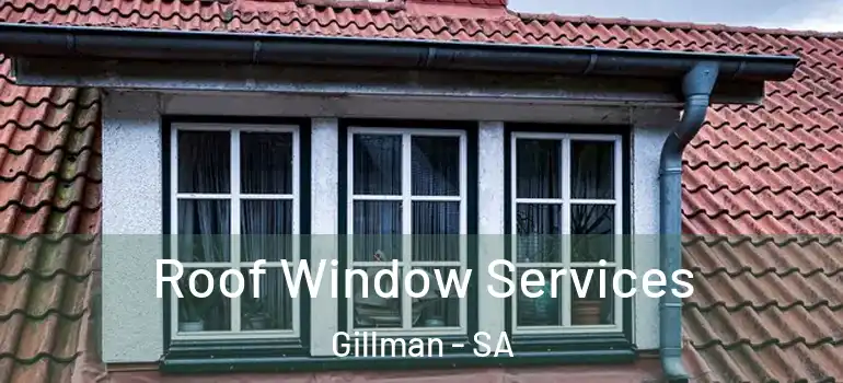 Roof Window Services Gillman - SA