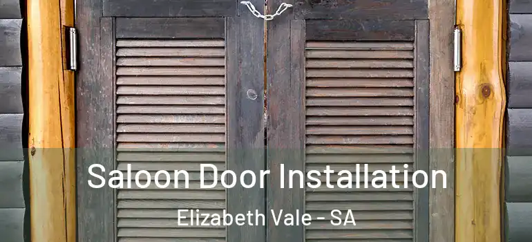 Saloon Door Installation Elizabeth Vale - SA