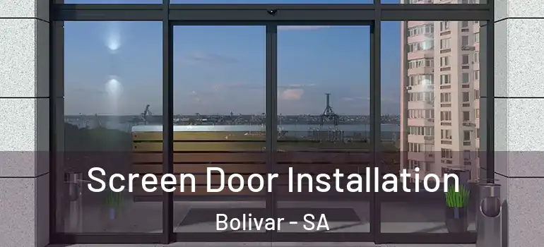 Screen Door Installation Bolivar - SA