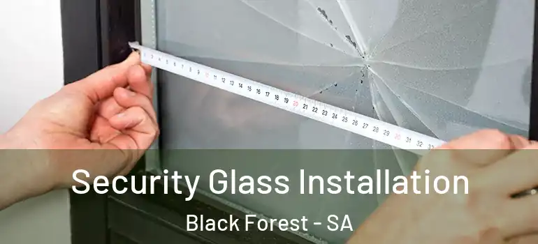 Security Glass Installation Black Forest - SA