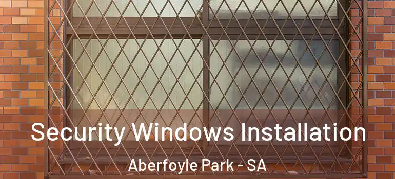 Security Windows Installation Aberfoyle Park - SA