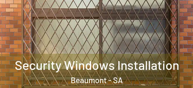 Security Windows Installation Beaumont - SA