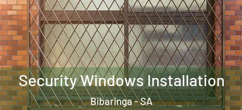 Security Windows Installation Bibaringa - SA