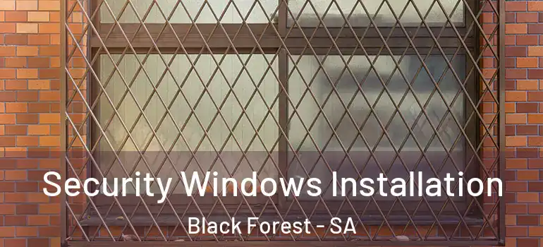 Security Windows Installation Black Forest - SA