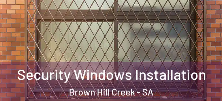  Security Windows Installation Brown Hill Creek - SA