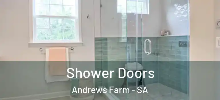 Shower Doors Andrews Farm - SA